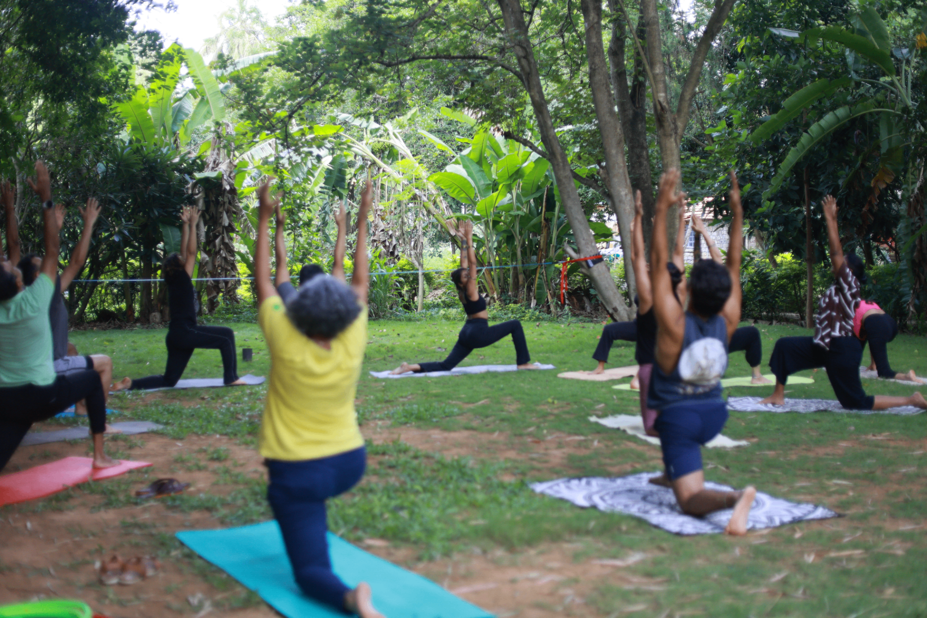 Group yoga practice surrounded by greenery